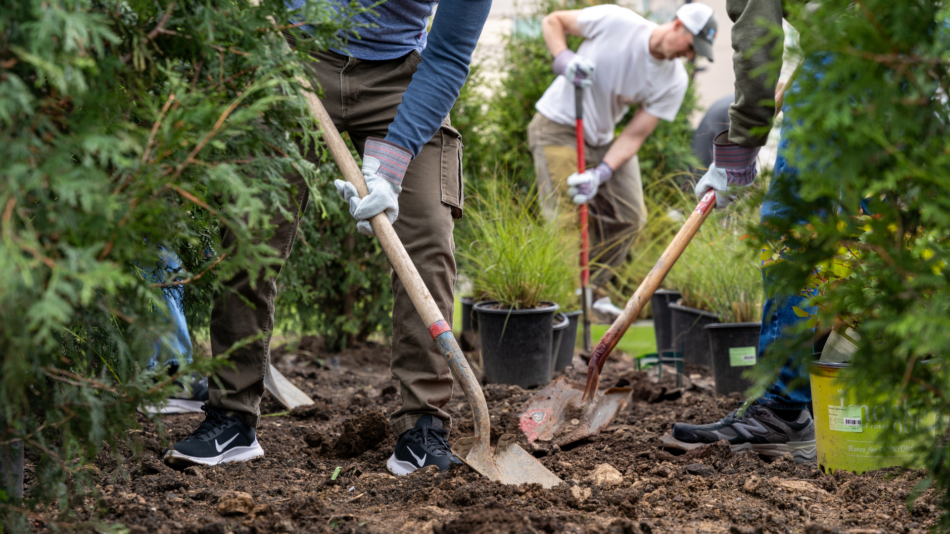 People are digging with shovels and planting greenery in a garden or outdoor area, surrounded by potted plants and trees.