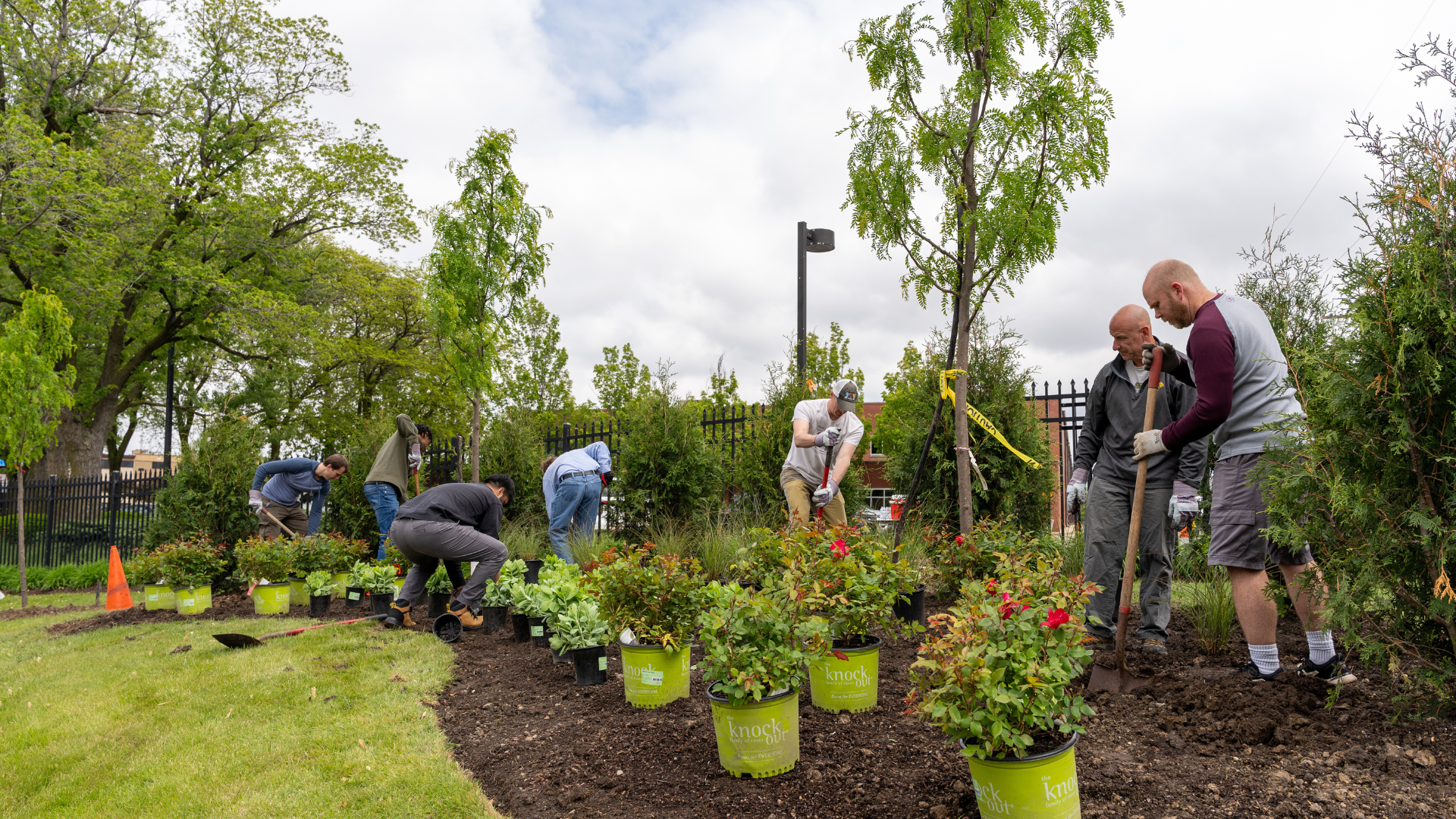 A group of people work together in a garden, planting flowers and shrubs near a fence on a cloudy day. Gardening tools and potted plants are scattered around.
