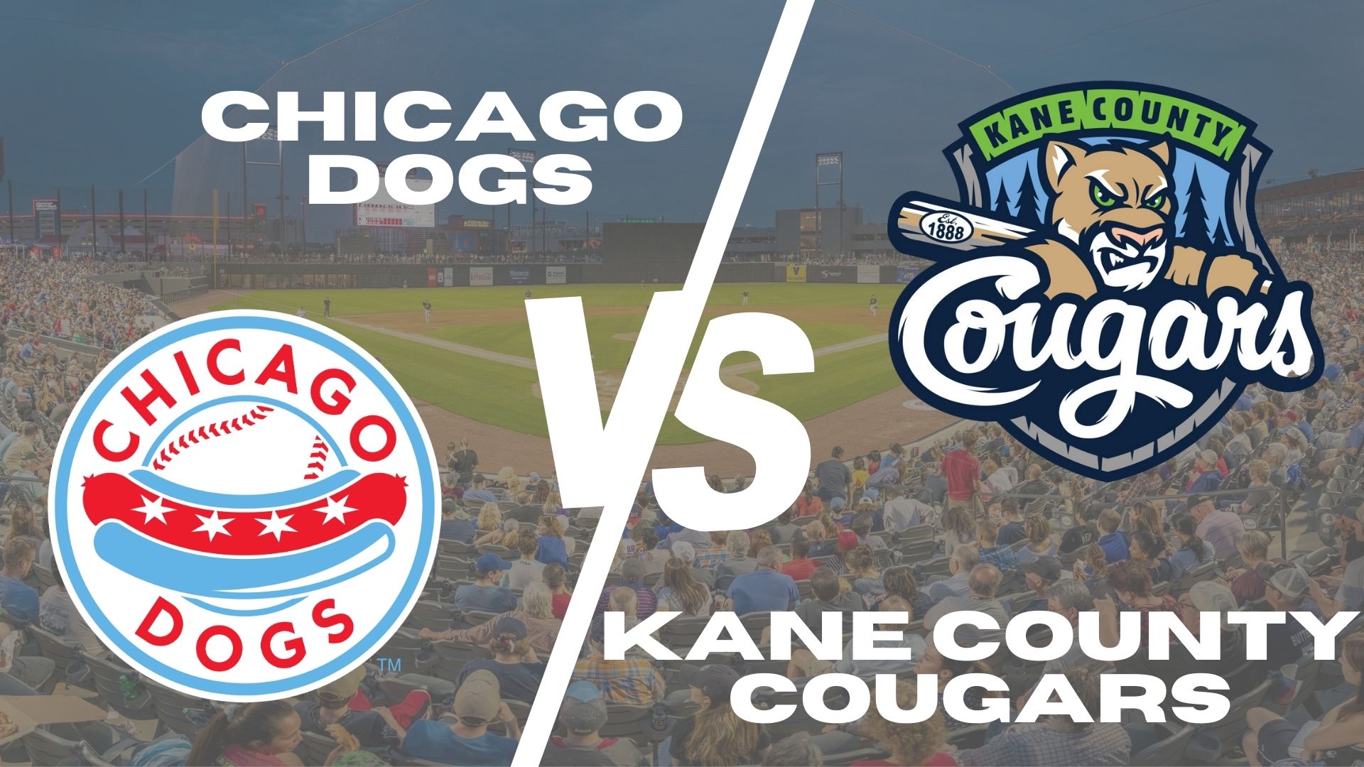 Cougars vs Dogs