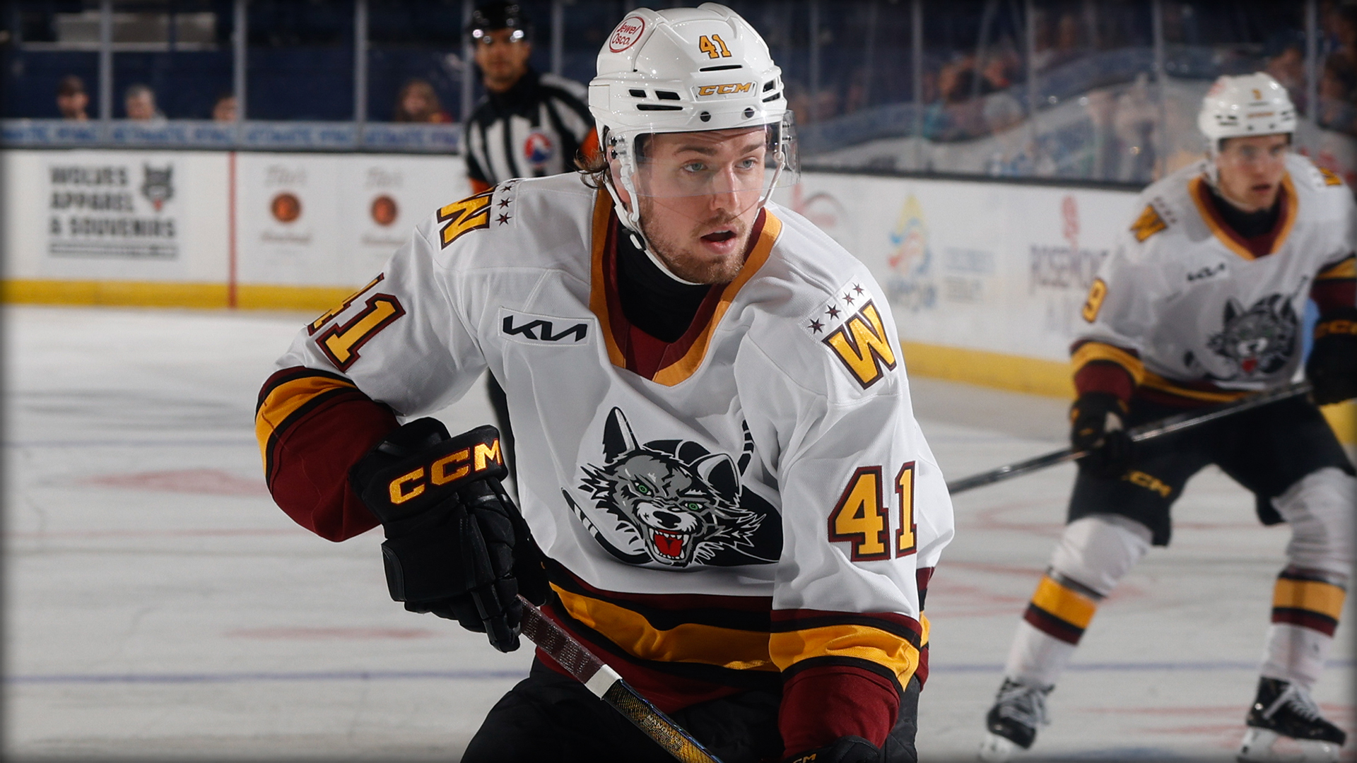 Hockey player in a white Chicago Wolves jersey with number 41 skates on the ice during a game, with another player and a referee visible in the background.