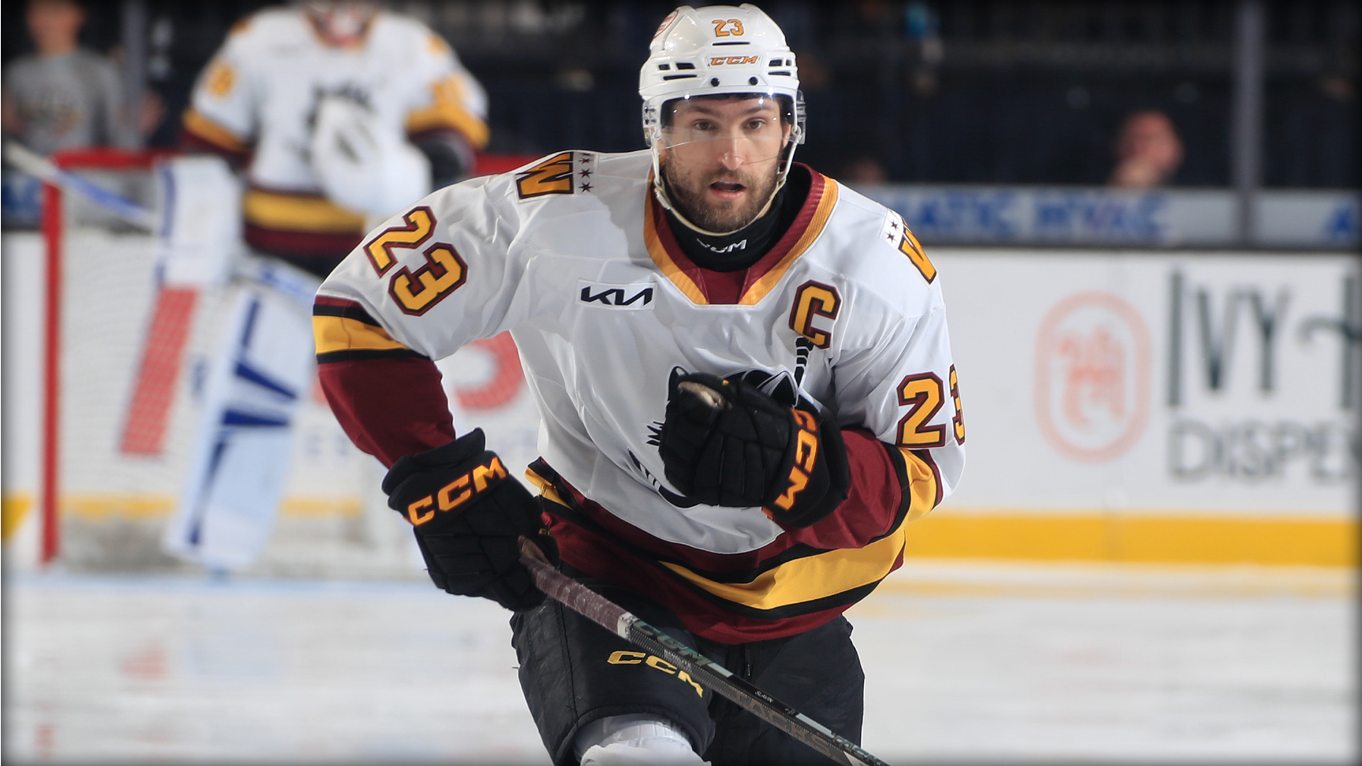A hockey player in a white and maroon uniform with number 23 and a captains C skates on the ice during a game.