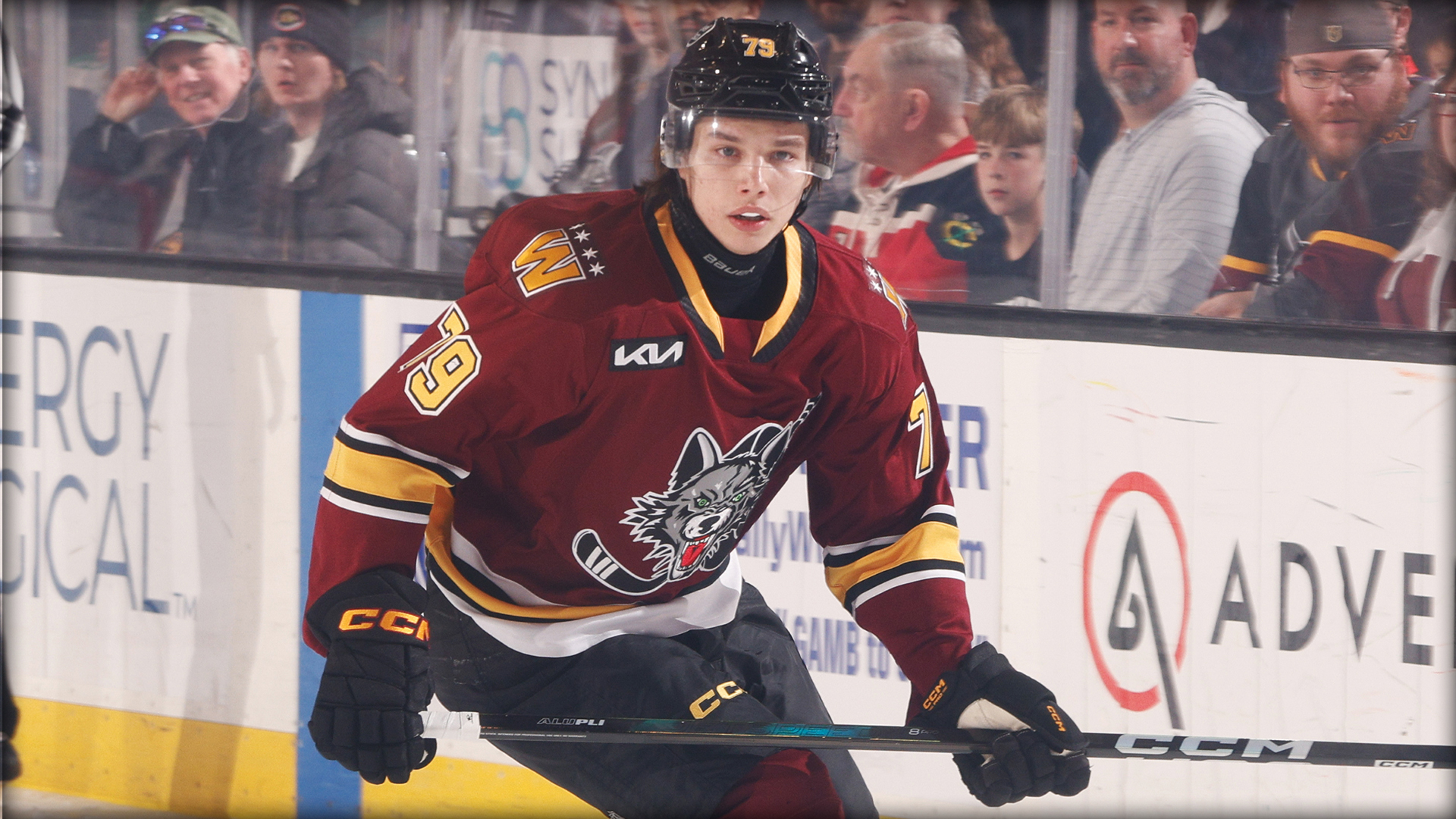 A hockey player in a maroon jersey with number 79 skates on the ice during a game, with spectators watching from the stands behind the glass.