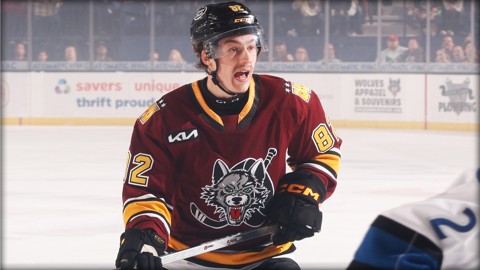 Hockey player in a maroon Chicago Wolves jersey with number 82 skates on the ice during a game.