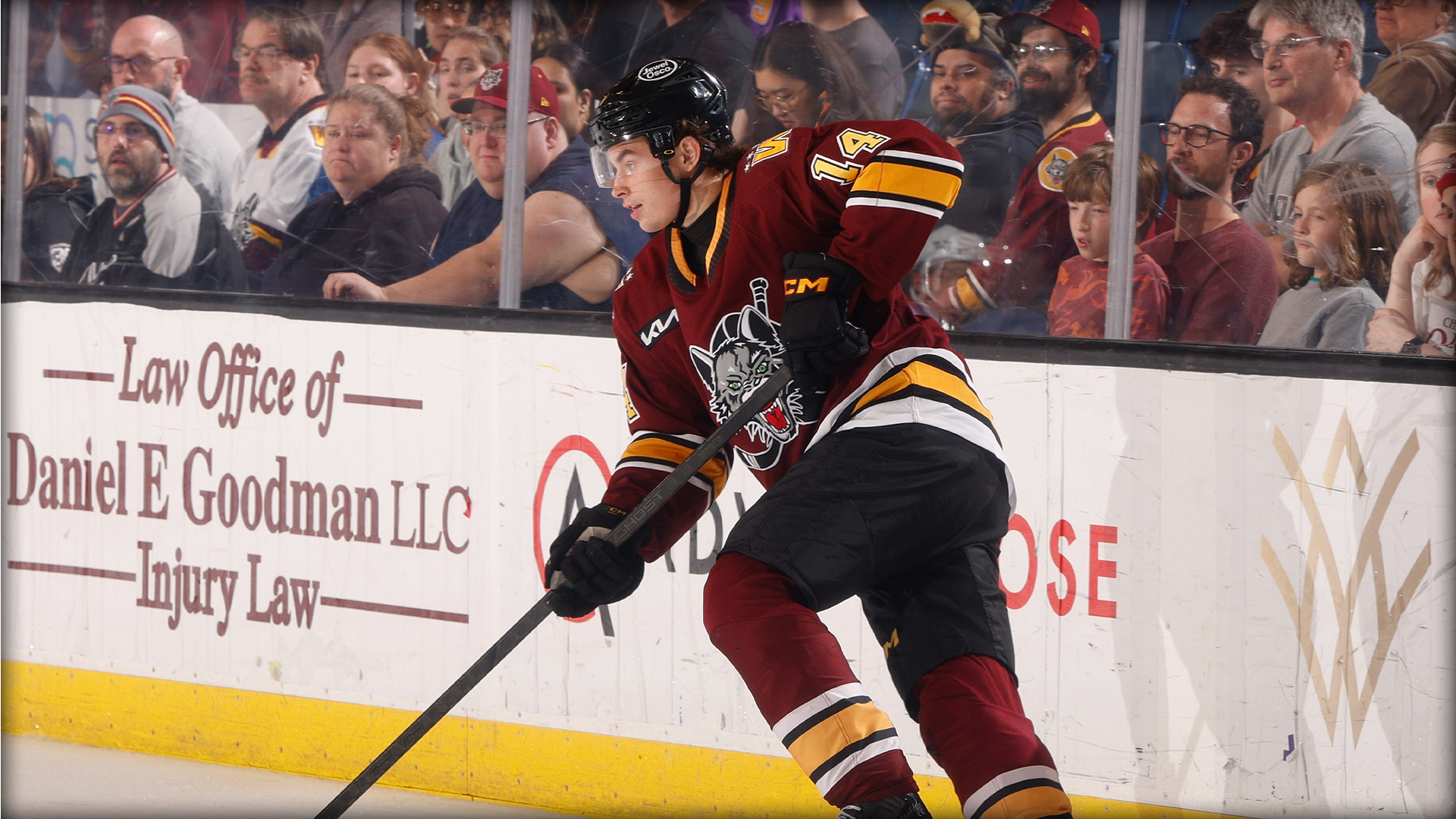 Hockey player in maroon uniform skating on ice during a game, with spectators watching from the stands behind the glass.