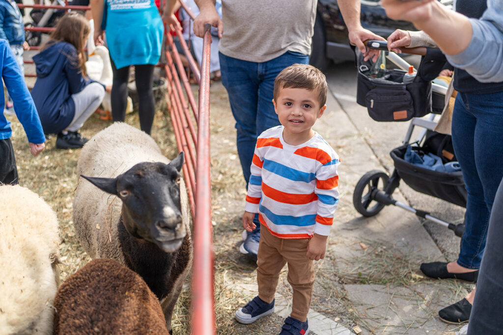 A young boy in a colorful striped shirt smiles while standing next to a black-faced sheep at an outdoor petting zoo, surrounded by people and a stroller.