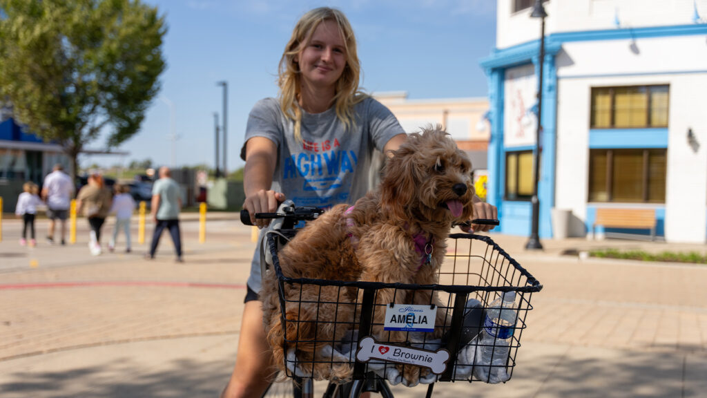 A young woman rides a bicycle with a fluffy brown dog sitting in the front basket, which has name tags reading Amelia and I ♥ Brownie. People and buildings are visible in the background on a sunny day.